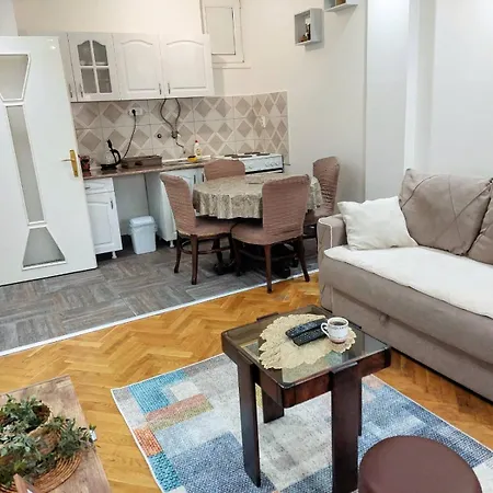 Stan Na Dan Alexa Sa Free Parkingom Apartment Novi Sad